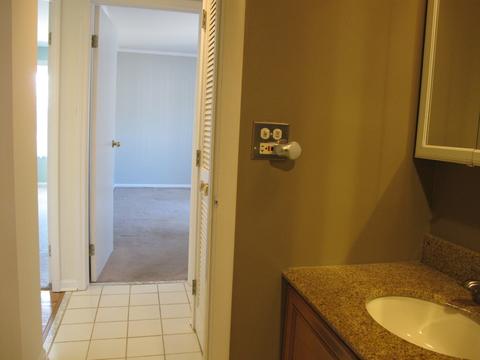 4710 Euclid Ave #2A, Rolling Meadows, IL 60008 photo 15