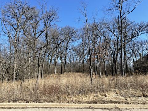 806 Ridgeway Trl, Mchenry, IL 60050 photo 8