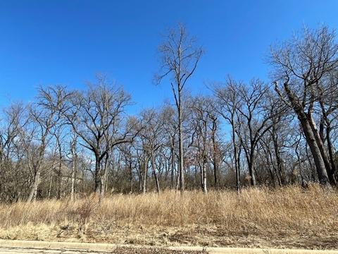806 Ridgeway Trl, Mchenry, IL 60050 photo 1