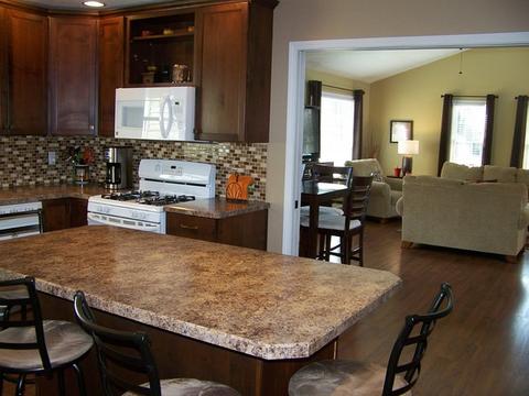205 Grace Dr, Forrest, IL 61741 photo 9