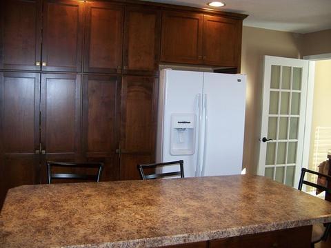205 Grace Dr, Forrest, IL 61741 photo 10