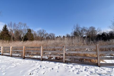 8 N135 Sunvale Dr, Elgin, IL 60124 photo 40