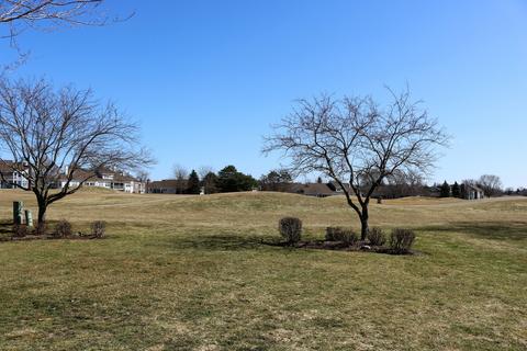 1809 Edgewood Dr, Algonquin, IL 60102 photo 30