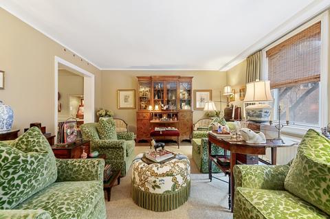 210 E Pearson St #3A, Chicago, IL 60611 photo 8