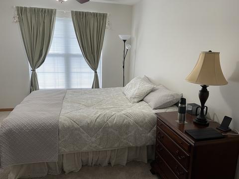 1040 Amaranth Dr, Aurora, IL 60504 photo 23