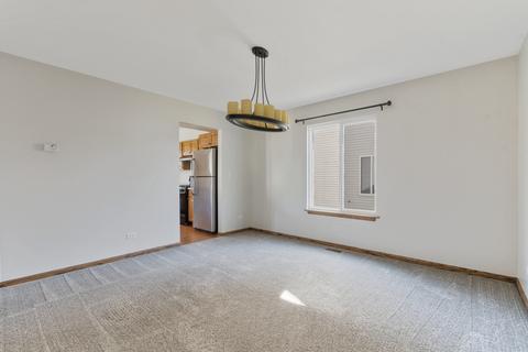 14143 S Lehigh Dr, Plainfield, IL 60544 photo 5
