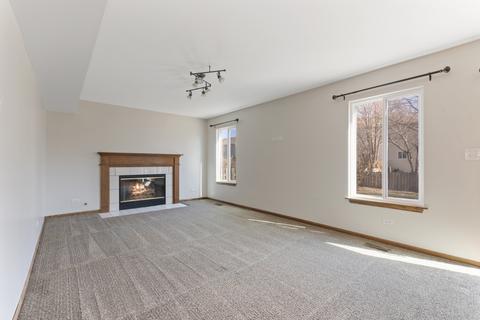 14143 S Lehigh Dr, Plainfield, IL 60544 photo 9