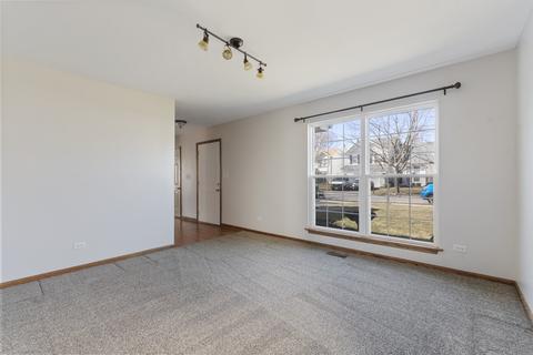 14143 S Lehigh Dr, Plainfield, IL 60544 photo 4