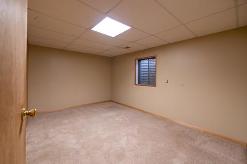 1052 Georgian Pl, Bartlett, IL 60103 photo 18