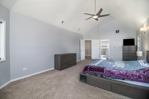 12217 Red Clover Ln, Plainfield, IL 60585 photo 20