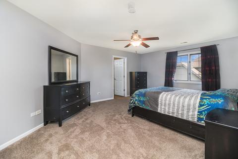 12217 Red Clover Ln, Plainfield, IL 60585 photo 28