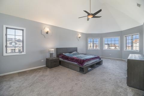 12217 Red Clover Ln, Plainfield, IL 60585 photo 19