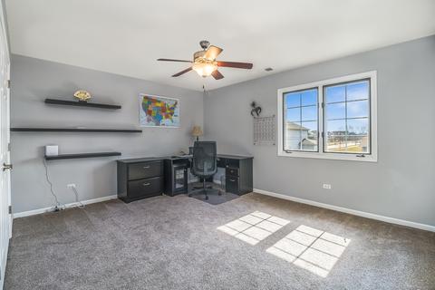 12217 Red Clover Ln, Plainfield, IL 60585 photo 30