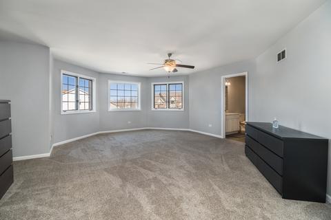 12217 Red Clover Ln, Plainfield, IL 60585 photo 25
