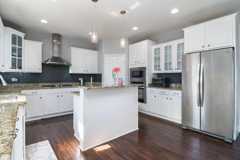 12217 Red Clover Ln, Plainfield, IL 60585 photo 4