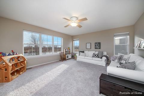 25243 Knoll Rd, Plainfield, IL 60544 photo 16