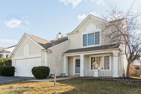 411 Smoketree Ln, Bartlett, IL 60103 photo 1