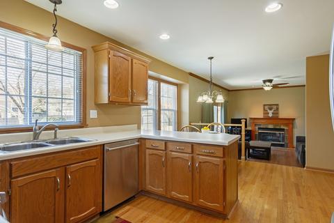 1169 Chesapeake Ct, Bartlett, IL 60103 photo 6