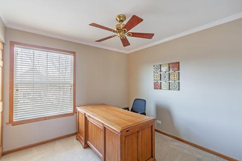 1169 Chesapeake Ct, Bartlett, IL 60103 photo 22