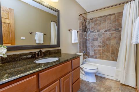 1169 Chesapeake Ct, Bartlett, IL 60103 photo 23