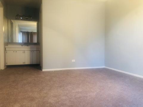 1690 Islandview Ct, Hoffman Estates, IL 60169 photo 11