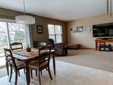 5308 Foxwood Ct, Plainfield, IL 60586 photo 10