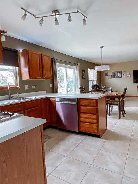 5308 Foxwood Ct, Plainfield, IL 60586 photo 7