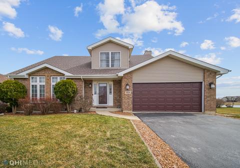 1531 Mallards Cv, Beecher, IL 60401 photo 1