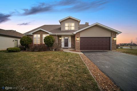 1531 Mallards Cv, Beecher, IL 60401 photo 30