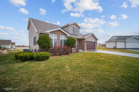 1531 Mallards Cv, Beecher, IL 60401 photo 29