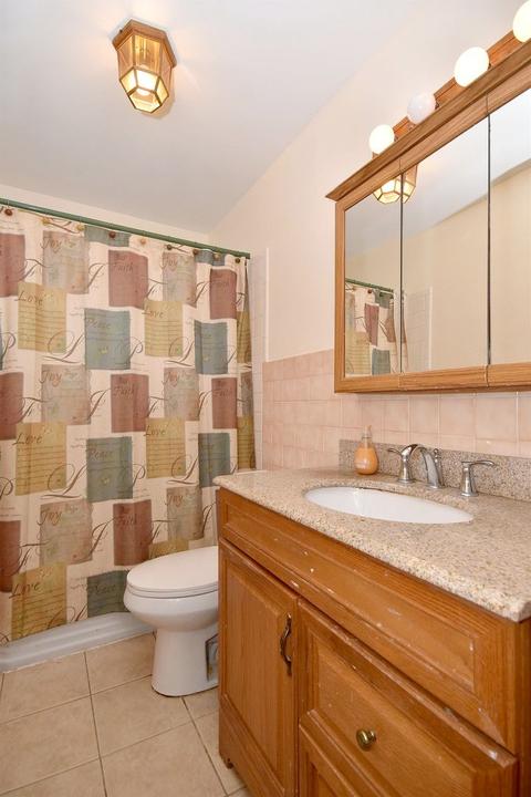 464 E Park Ave, Elmhurst, IL 60126 photo 19