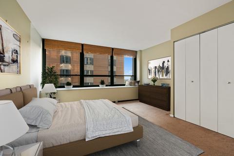 222 E Pearson St #1701, Chicago, IL 60611 photo 14