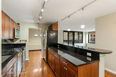 222 E Pearson St #1701, Chicago, IL 60611 photo 5