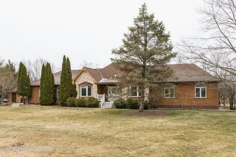 21747 Forest Ct, Mokena, IL 60448 photo 1