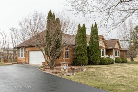 21747 Forest Ct, Mokena, IL 60448 photo 3