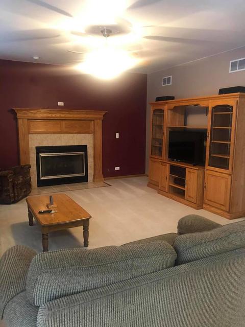 12733 Hawks Bill Ln, Plainfield, IL 60585 photo 11