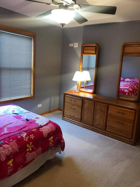 12733 Hawks Bill Ln, Plainfield, IL 60585 photo 30