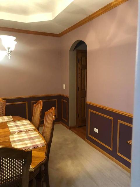 12733 Hawks Bill Ln, Plainfield, IL 60585 photo 12