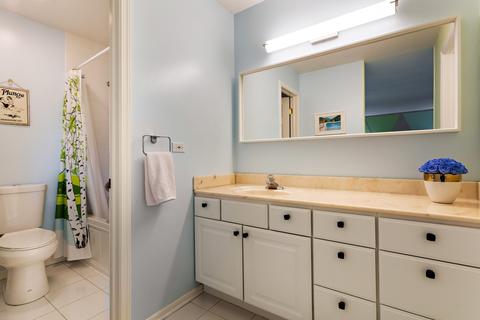 1007 Spring Hill Dr, Northbrook, IL 60062 photo 12