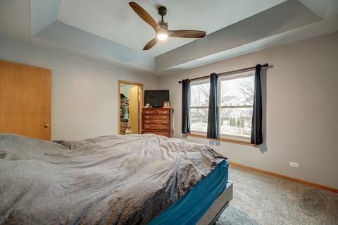 25063 Madison St, Plainfield, IL 60544 photo 11