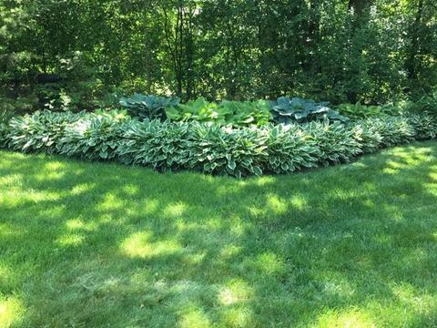 3 Devonshire Dr, Oak Brook, IL 60523 photo 36