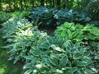 3 Devonshire Dr, Oak Brook, IL 60523 photo 35