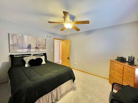 1467 E Cap Cir, Bourbonnais, IL 60914 photo 22