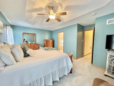 1467 E Cap Cir, Bourbonnais, IL 60914 photo 26