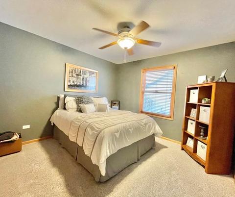 1467 E Cap Cir, Bourbonnais, IL 60914 photo 19