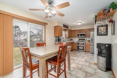 14120 Franklin Ct, Plainfield, IL 60544 photo 10