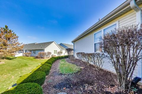 21132 W Cypress Ct, Plainfield, IL 60544 photo 28