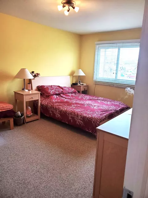 1505 Chippewa Trl, Wheeling, IL 60090 photo 14