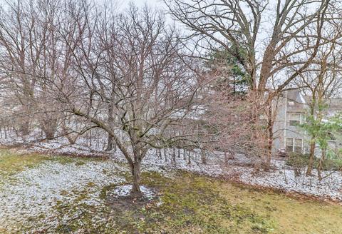 725 Waverly Dr #D, Elgin, IL 60120 photo 19
