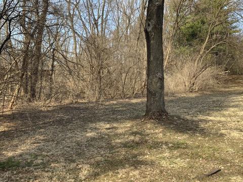 4315 Sweitzer Rd, Algonquin, IL 60102 photo 37